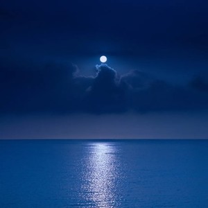 塞上江南塞上情