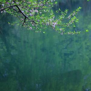 青玉案·凌波不过横塘路