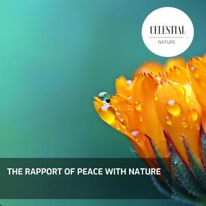 The Rapport of Peace With Nature