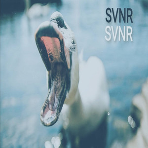 SVNR (Explicit)