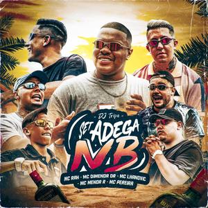 SET ADEGA NB (Explicit)