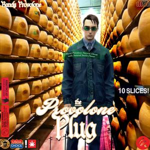 The Provolone Plugg (Explicit)