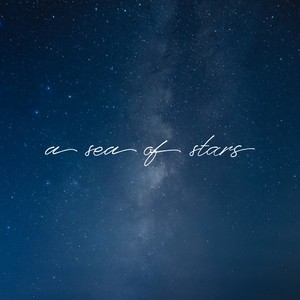 An afternoon in November