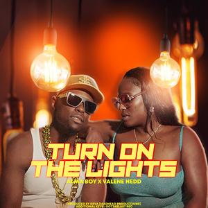 Turn On The Lights (feat. Valene Nedd)