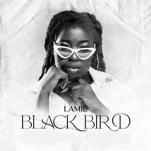 Black Bird (Explicit)