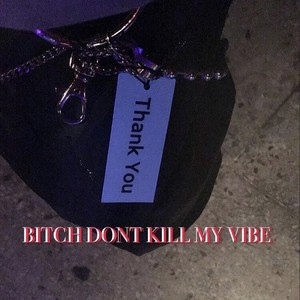 B**CH DONT KILL MY VIBE