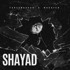 Shayad (Explicit)