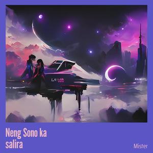 Mister - Neng Sono ka salira