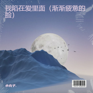 我陷在爱里面（渐渐疲惫的脸）