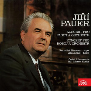 Bassoon Concerto - I. Allegro