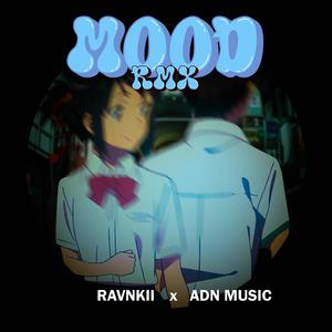 MOOD (feat. ADN MUSIC) [Remix] [Explicit]