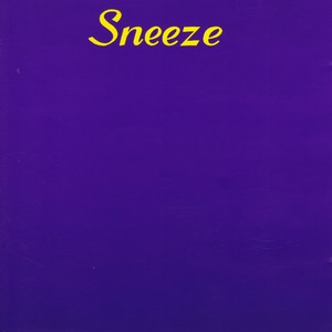 Sneeze (41 Songs In 47 Minutes)