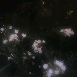 WAIT A MINUTE (Slowed)