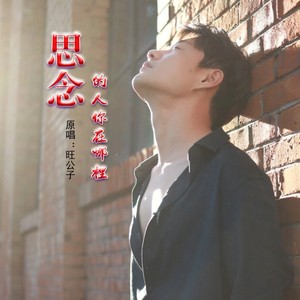 思念的人你在哪里 (伴奏)