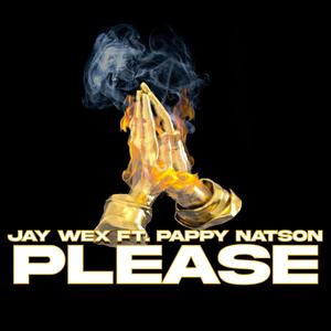 Please (Explicit)