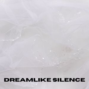 Dreamlike Silence