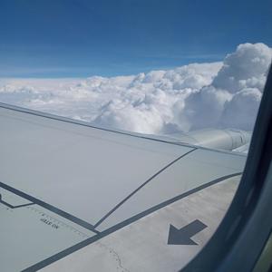 Fallen Feathers (Explicit)