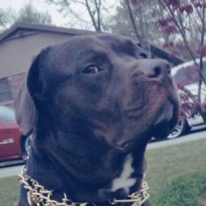 Take On Me (Alt Version)