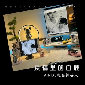 爱情里的白鹿