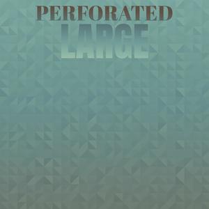 Perforated Large