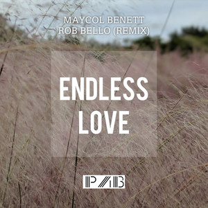 Endless Love (Rob Bello Remix)