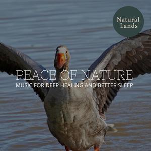 Peace of Nature - Music for Deep Healing and Better Sleep