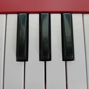 Pie Rats Of The Car Beans