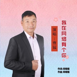 我在网络有个你 (伴奏)