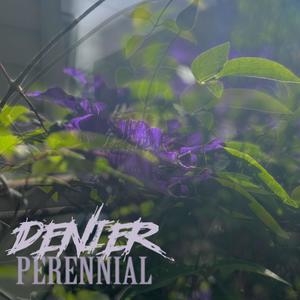 Perennial (Explicit)