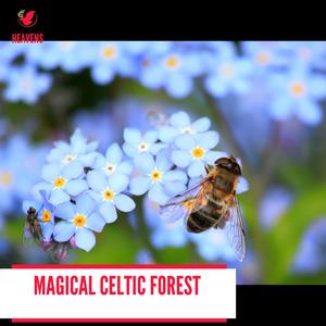 Beautiful Morning Beach