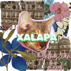 Xalapa (Explicit)