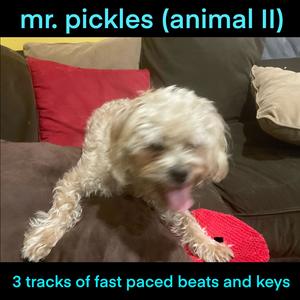 Mr. Pickles (Animal II)