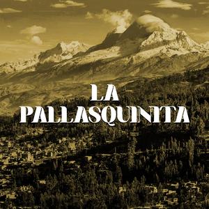 La Pallasquinita