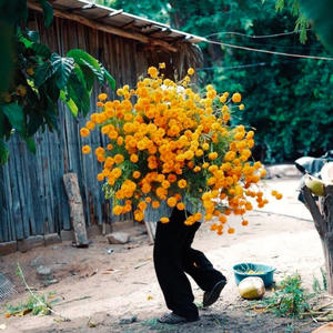 Forgotten Love Song, Pt. 1 (feat. Tony P) (Explicit)