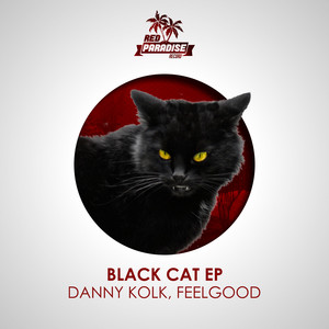 Black Cat (Original Mix)