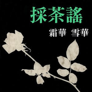 只有爱情请别骗我