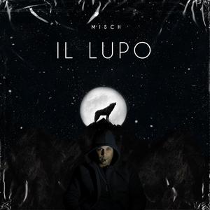 Il Lupo