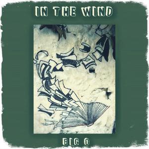 In the Wind (Single)