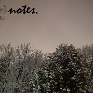 Notes (Explicit)