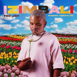 Izimbali (feat. Ntando Yamahlubi)