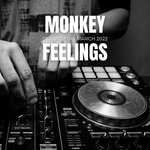 Monkey Feelings