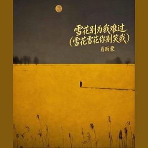 雪花别为我难过（雪花雪花你别笑我）
