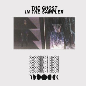 The Ghost in the Sampler