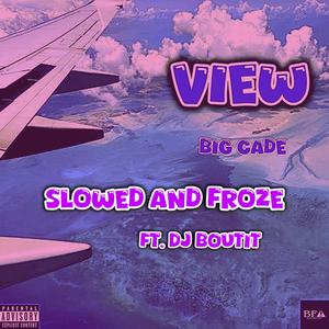 View (feat. DJ Bout It|Slowed and Froze|Explicit)