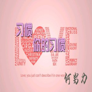 习惯你的习惯