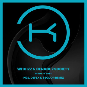 Birds 'N' Bees (Defex & Tsodor Edit Remix)