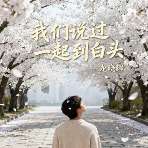 我们说过一起到白头 (伴奏)