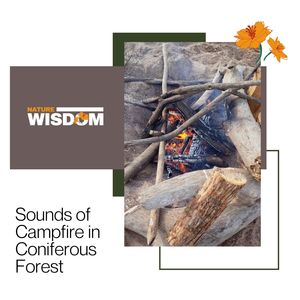 Peace at the Campfire