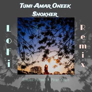 Tumi Amar Oneek Shokher Lofi