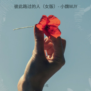 彼此路过的人- 小魏WJY (女版)